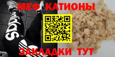 сатива Кингисепп