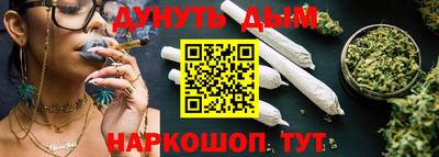 сатива Кингисепп