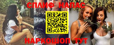 сатива Кингисепп