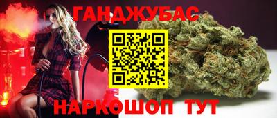 сатива Кингисепп