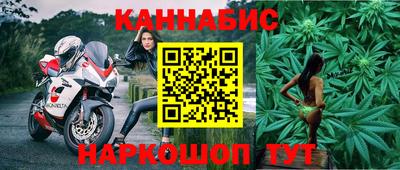 сатива Кингисепп