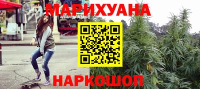сатива Кингисепп