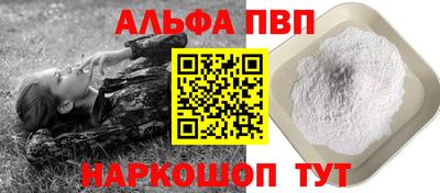 сатива Кингисепп