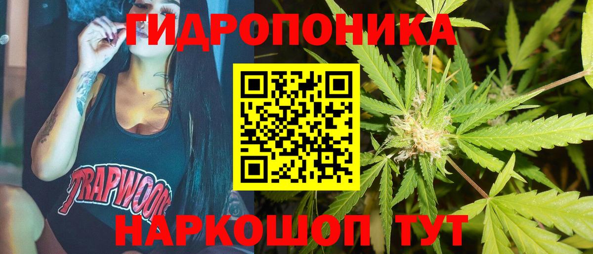 Бошки марихуана Bruce Banner Курчалой